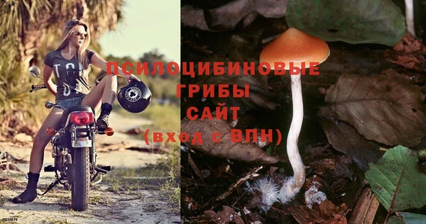 тгк Киренск