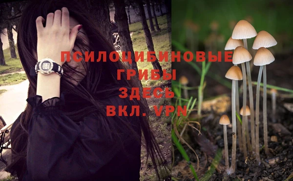 COCAINE Киреевск