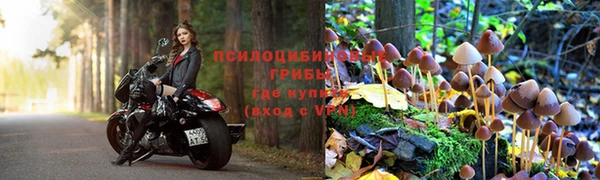 тгк Киренск