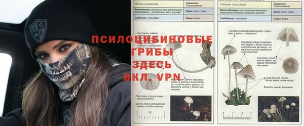 крисы Кинешма