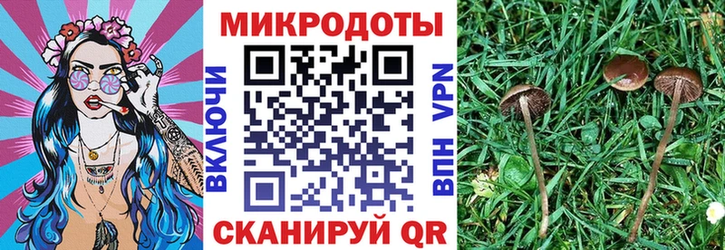 даркнет сайт  Приволжский  блэк спрут ссылки  Галлюциногенные грибы мухоморы 